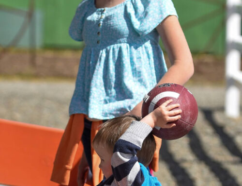 Barnyard Ball Zone