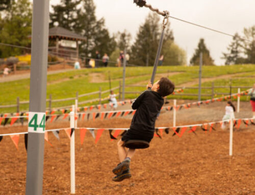 Bee-Line Ziplines