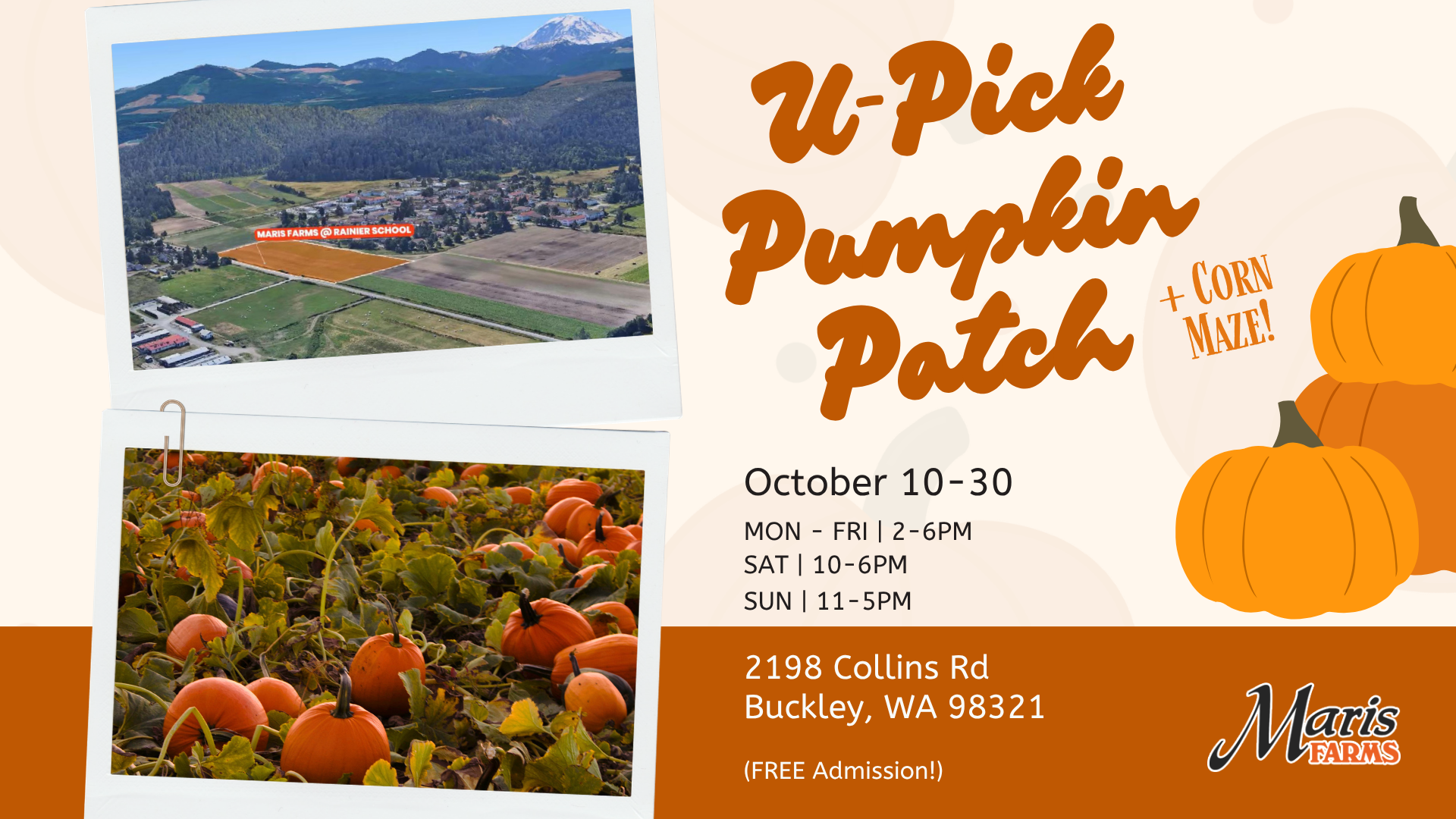 U-Pick pumpkin patch and corn maze at Maris Farms at Rainier School